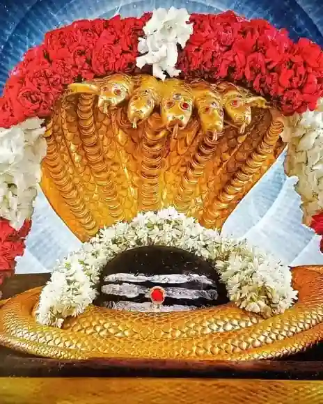 Sri Mallikarjuna Swamy Temple, Srisailam