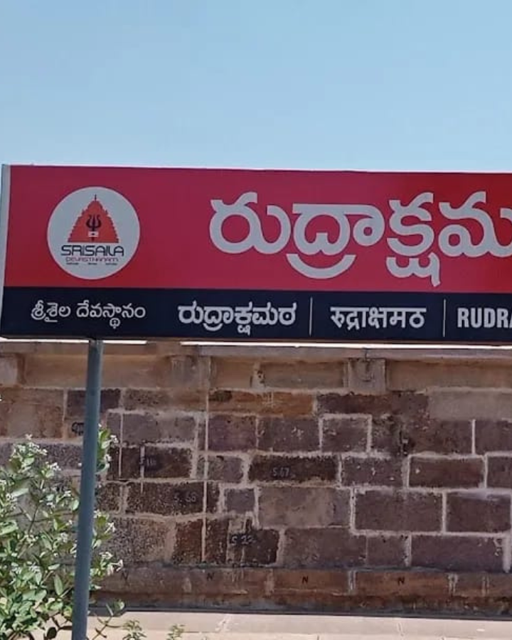 Mallikarjuna Jyotirlingam