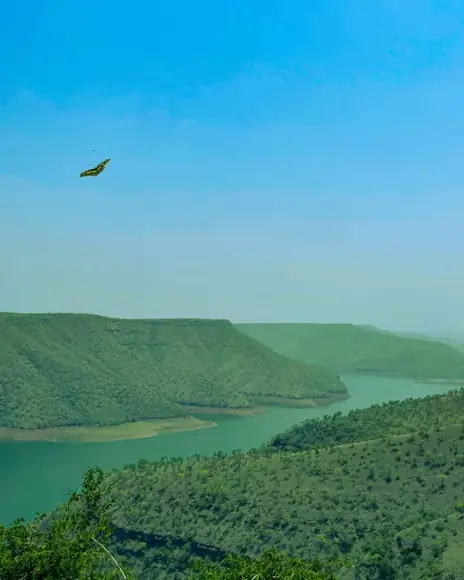 Octopus View Point, Srisailam